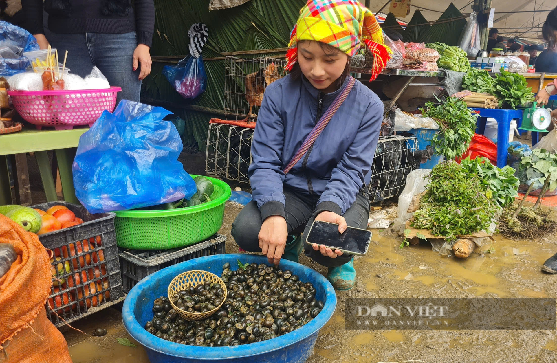 Nuôi ốc dạ dưới ruộng lúa, bà con người Mông ở Nà Hẩu bán đắt hàng, có thêm thu nhập - Ảnh 5.