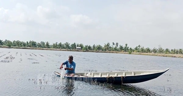 في أي نهر في منطقة كيين جيانج تزداد الملوحة أكثر من أي نهر آخر؟ كيف يعالج مزارعو الروبيان مصدر المياه؟