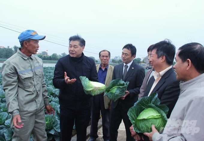 Lãnh đạo Trung tâm Khuyến nông Quốc gia và Tổ chức JICA kiểm tra thực tế sản xuất rau an toàn tại HTX Sản xuất kinh doanh dịch vụ nông nghiệp Giao Hà. Ảnh: Trung Quân.