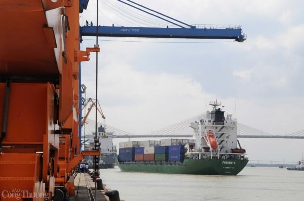 Ministry of Industry and Trade connects logistics businesses in Vietnam, UAE, Qatar