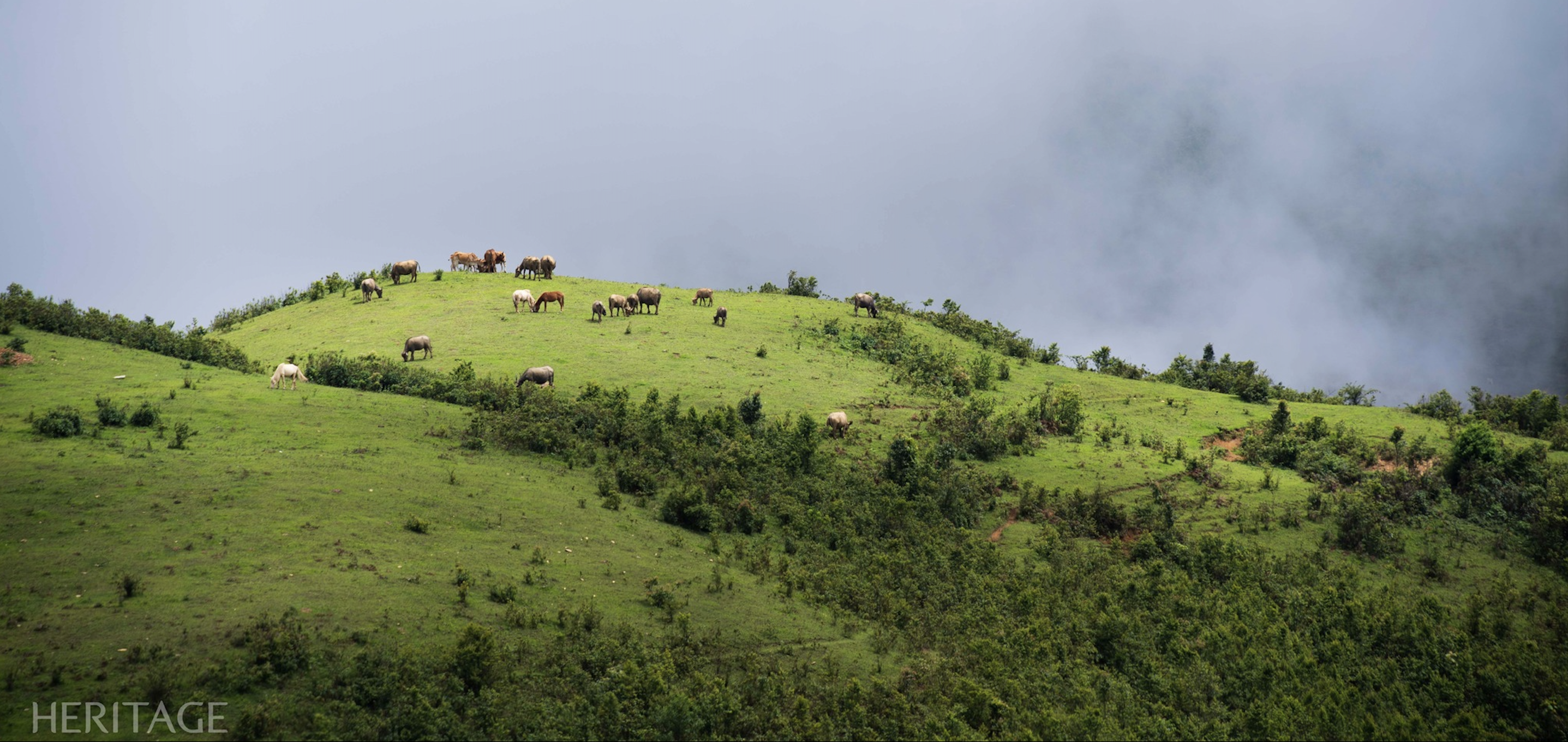 Erkunden Sie die Trekkingroute zum Gipfel des Pu Dao