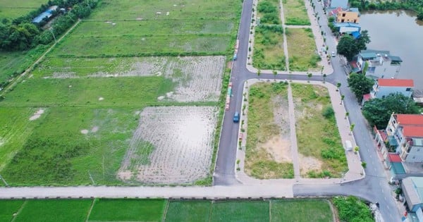 Thanh Oai auctioned land loses 100 million VND/m2 mark