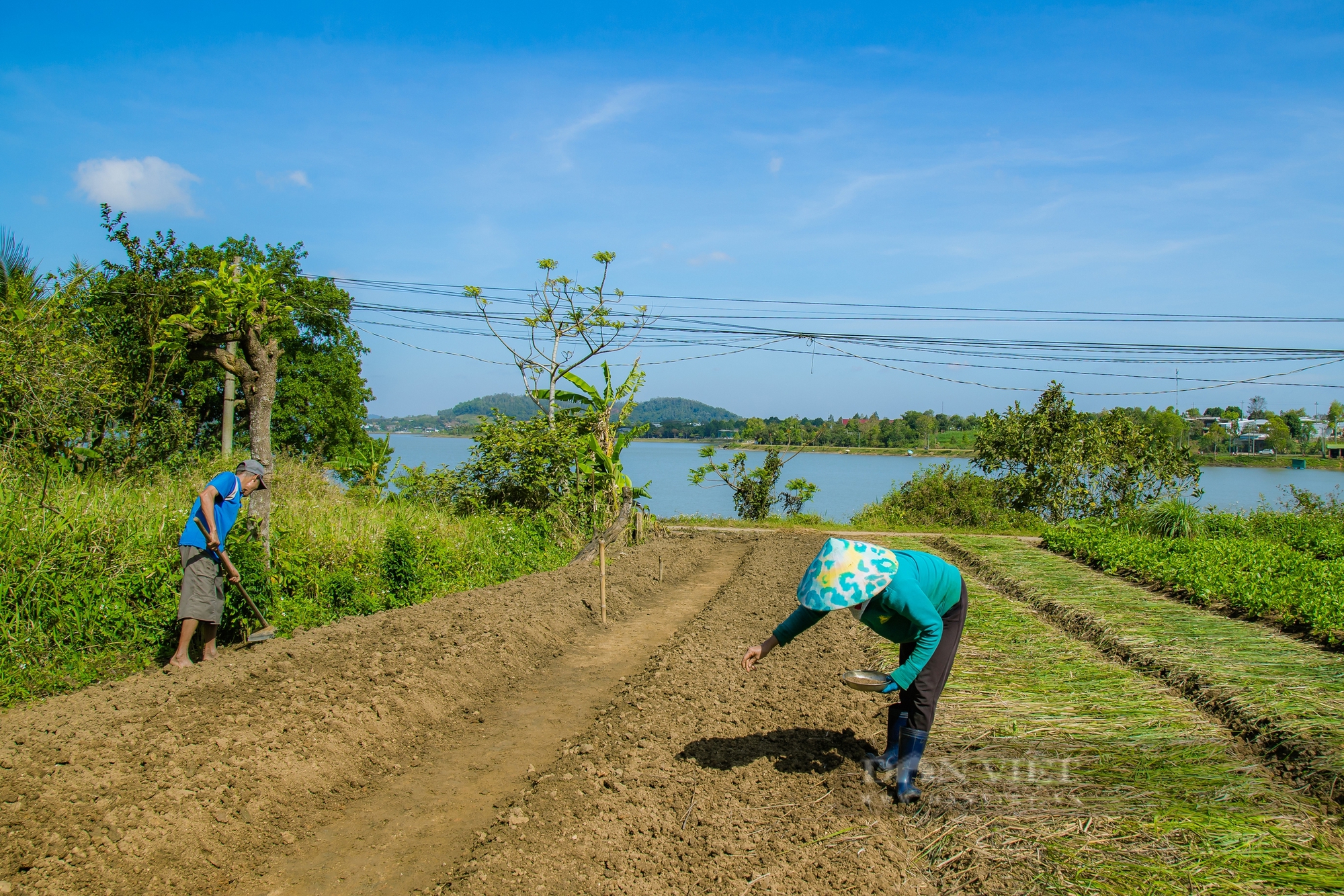 Hồ nước hơn 200ha ở Đắk Lắk: Trên bờ, bà con trồng rau; dưới hồ, cá quẫy - Ảnh 10.