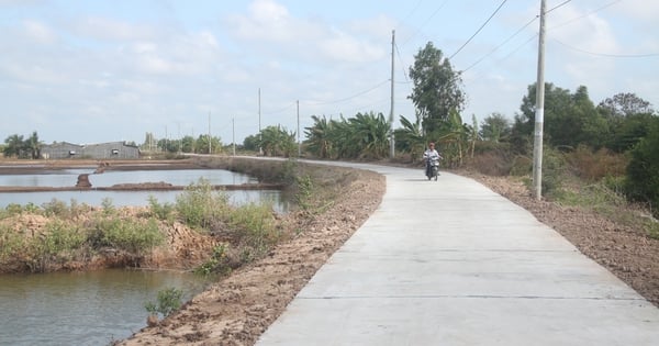 Completion of two roads helps develop salt industry in Bac Lieu