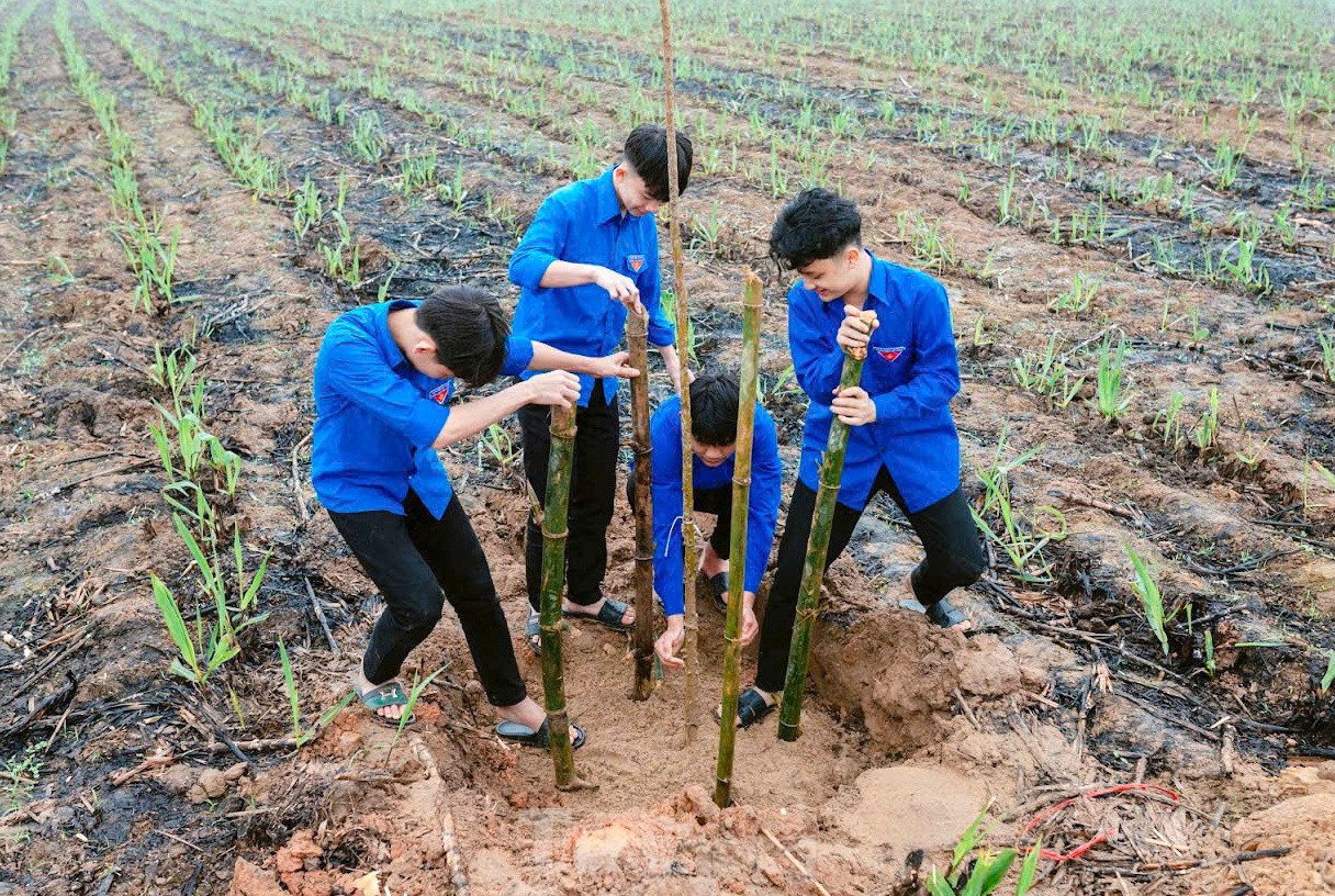 Tuổi trẻ Nghệ An với những công trình, phần việc tổng nguồn lực hơn 2 tỉ đồng ảnh 14