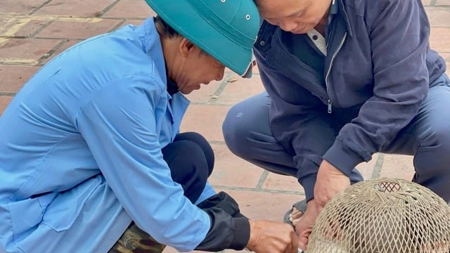 狂犬病の蔓延を防ぐ