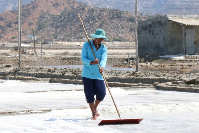 Les paludiers s'affairent dans les marais salants centenaires de Ninh Thuan photo 3