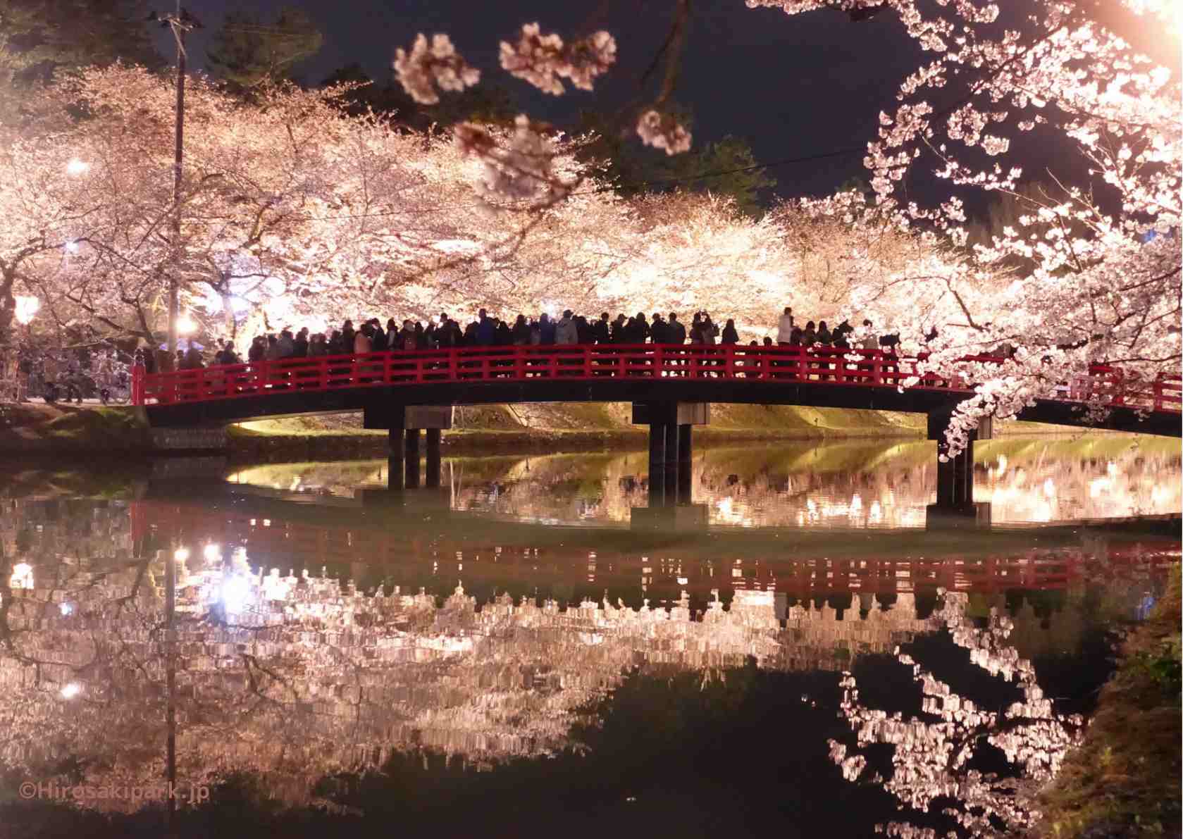 2025年の日本の桜の季節を楽しめる3つの新しい目的地