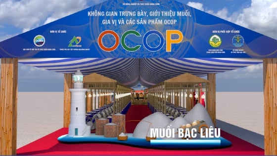 مساحة العرض، تقديم الملح والتوابل ومنتجات OCOP