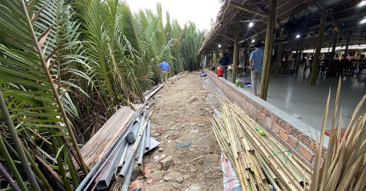 La ciudad de Hoi An comienza a “apagar los disturbios” en el bosque de cocoteros de Cam Thanh