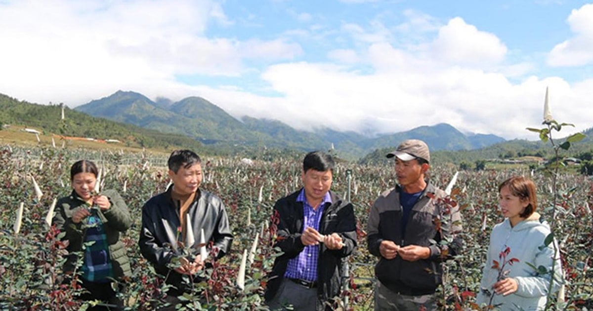 Mu Cang Chai has the first new rural commune