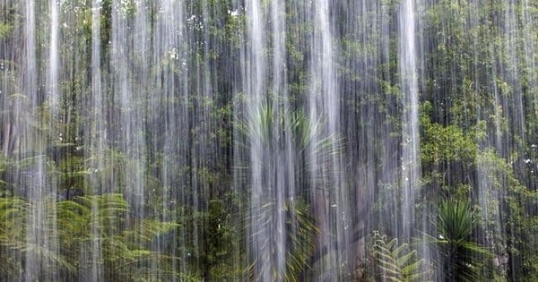 L'endroit le plus « humide » du monde, où il pleut 335 jours par an