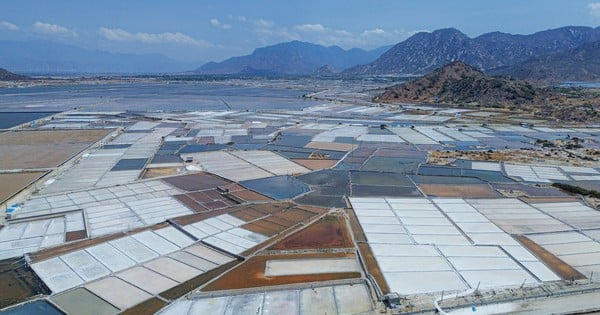 Salt workers busy in the hundred-year-old salt fields in Ninh Thuan