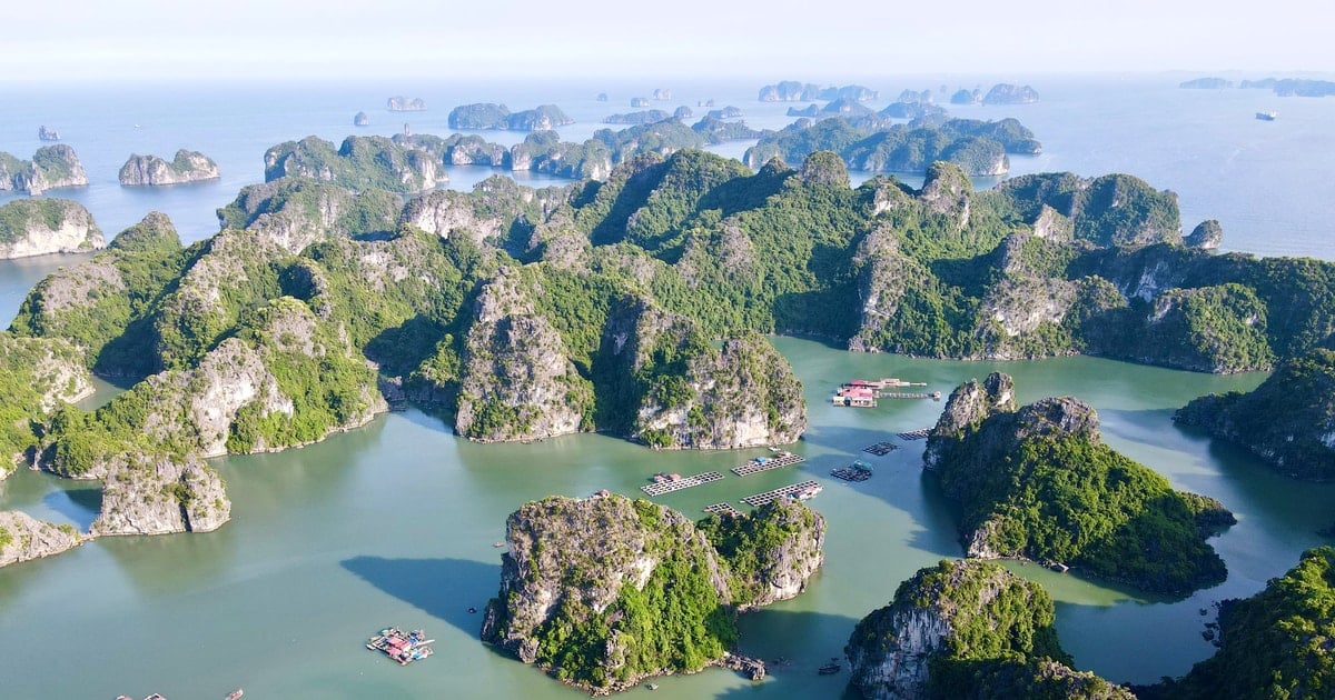 Zustimmung zur Gründung des Ha Long Bay World Heritage Management Council