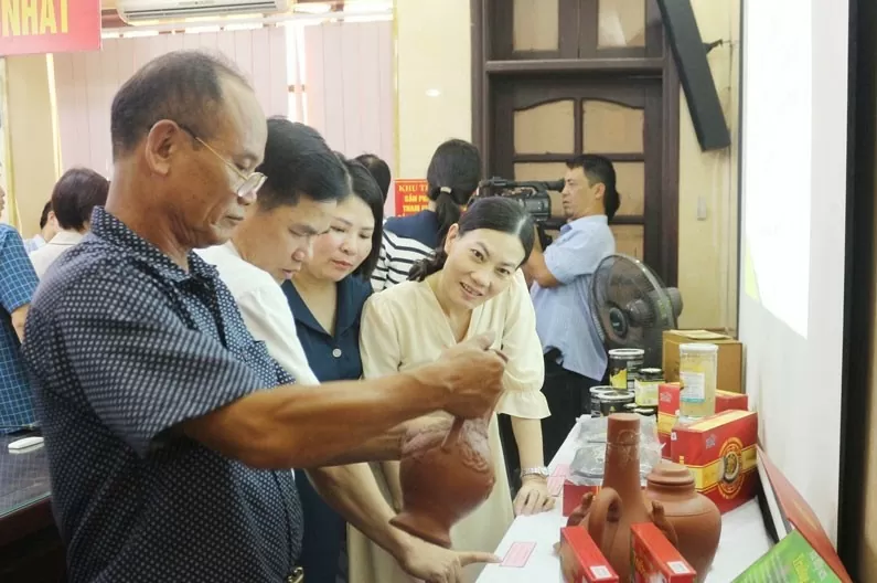 Ha Nam develops typical rural industrial products