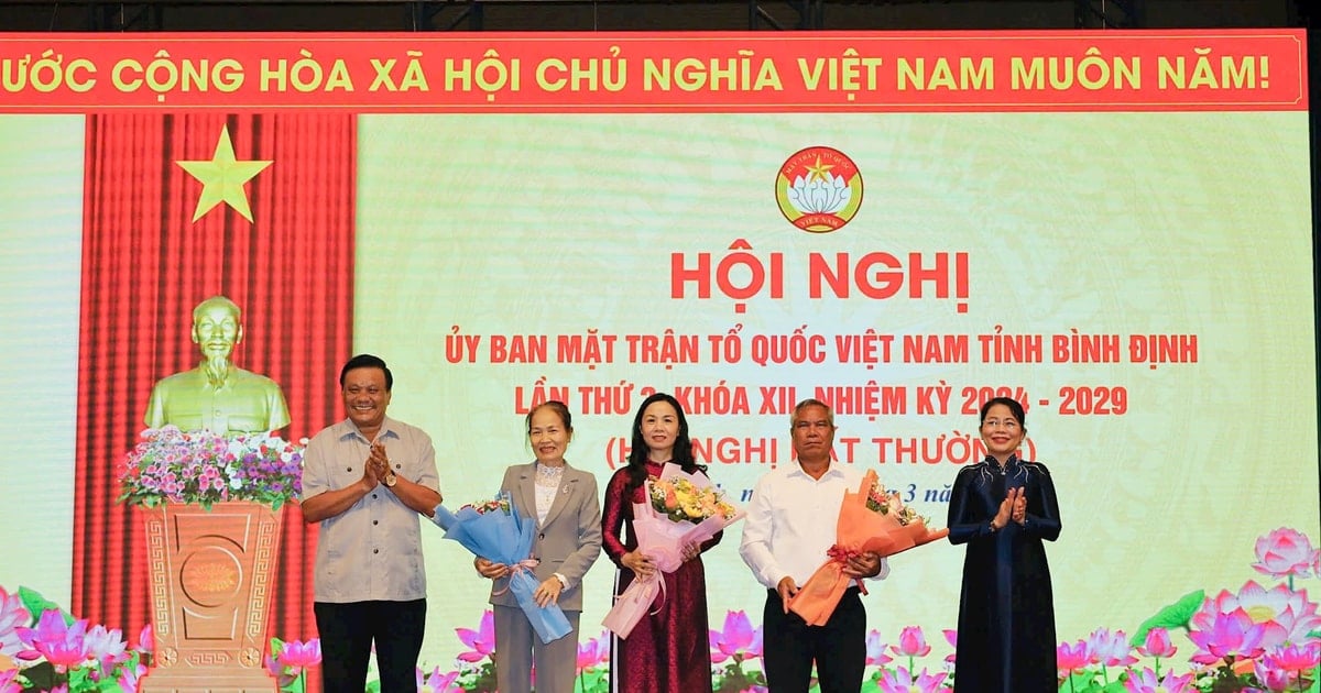 Frau Le Binh Thanh ist Vorsitzende des Komitees der Vietnamesischen Vaterländischen Front der Provinz Binh Dinh.