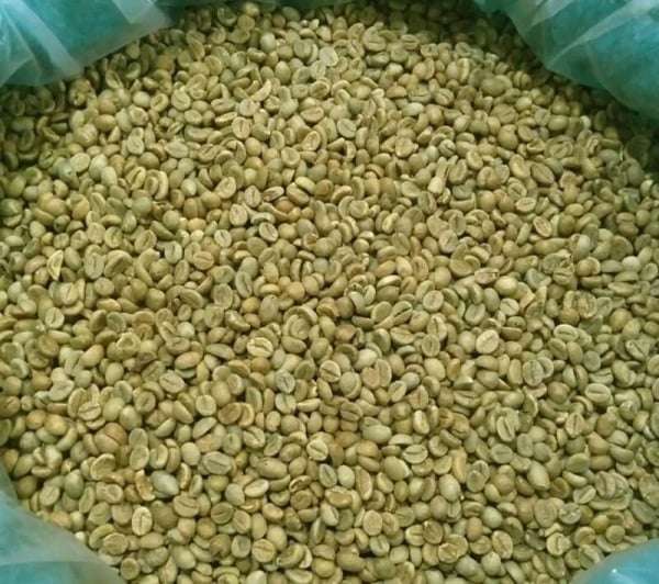 Algeria reduces coffee import tax, opportunity for Vietnamese businesses