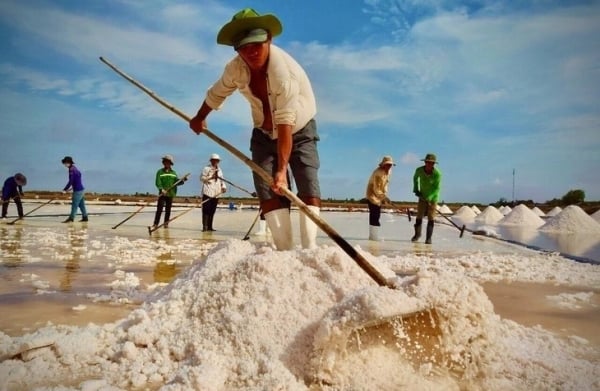 Salt Festival 2025: Enhancing the value of Vietnamese salt