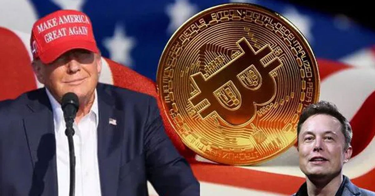 Elon Musk and President Donald Trump: Is there a cryptocurrency alliance behind the big plan?