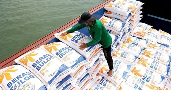 Prime Minister requests to improve competitiveness and make the rice market healthy