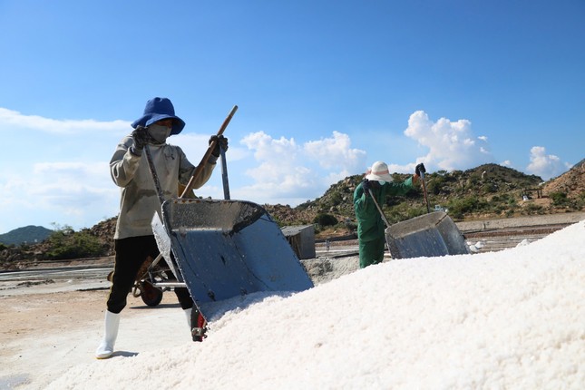 Les paludiers s'affairent dans les marais salants centenaires de Ninh Thuan photo 7