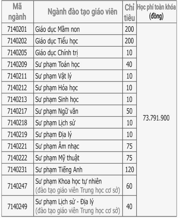 Trường đại học Sài Gòn dự kiến tăng gần gấp đôi học phí   - Ảnh 3.