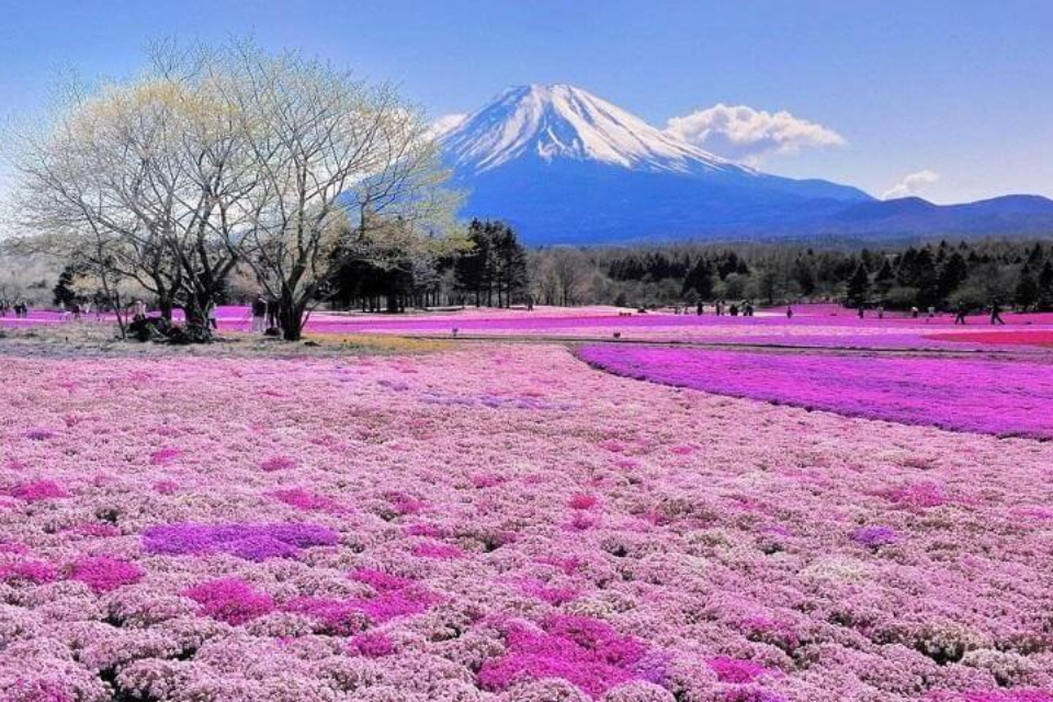 Revelamos los 5 destinos turísticos más atractivos de Japón durante las vacaciones del 30 de abril