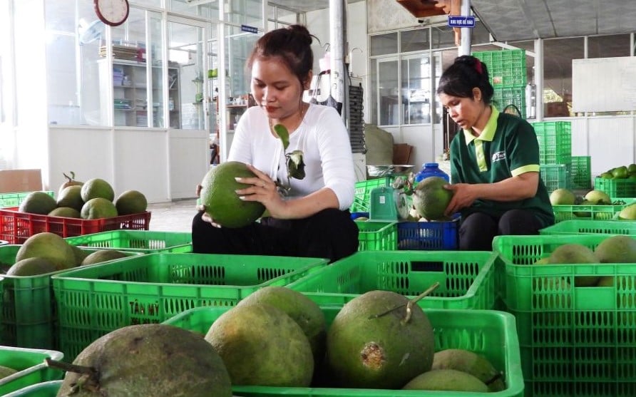 Nâng chất sản phẩm OCOP