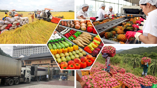 Vietnamese agricultural products face quality problems