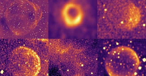 South African Telescope