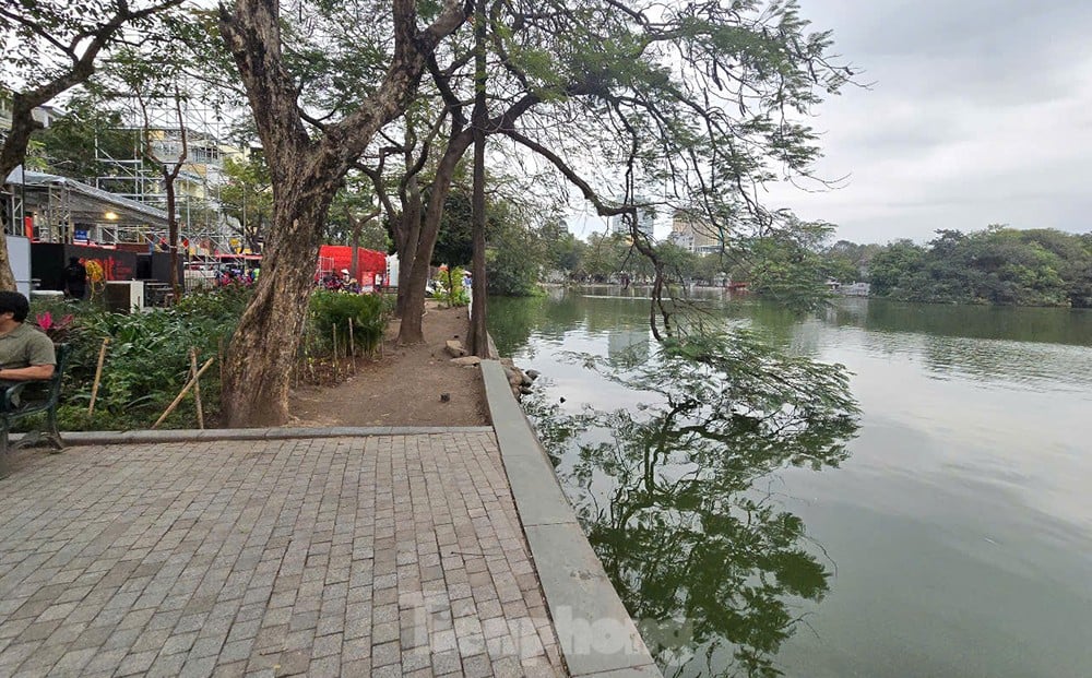 Hanoi : Panorama du bâtiment « Shark Jaw » près du lac Hoan Kiem sur le point d'être démoli photo 16