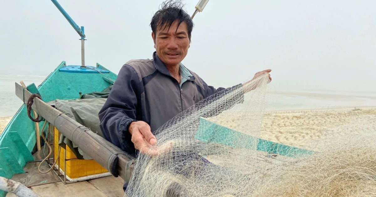 After only a few hours at sea, fishermen get tired of removing fish and earn millions.