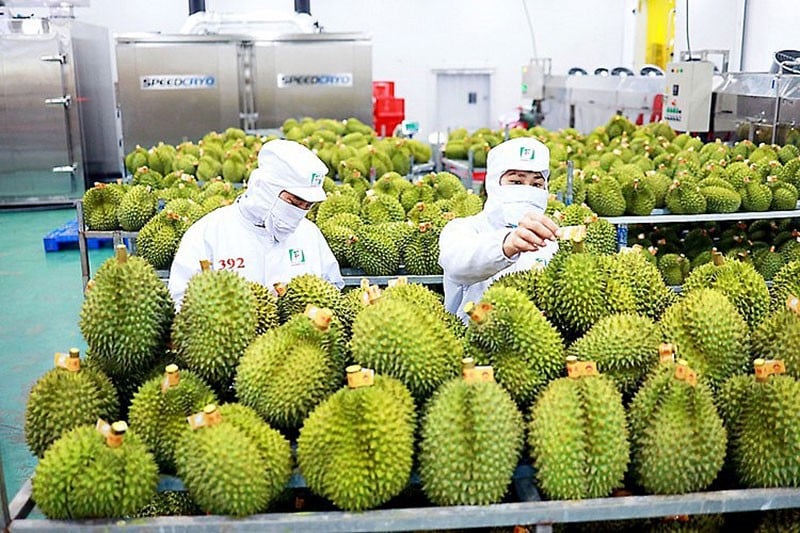 Die Exportmärkte werden immer strenger und das Ministerium für Industrie und Handel bietet Lösungen zur Überwindung dieser Einschränkungen.