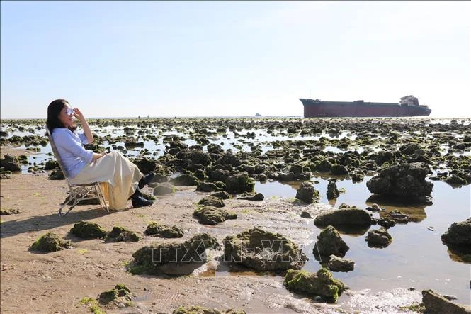 [Photo] The beauty of seaweed fields in Ninh Thuan photo 8