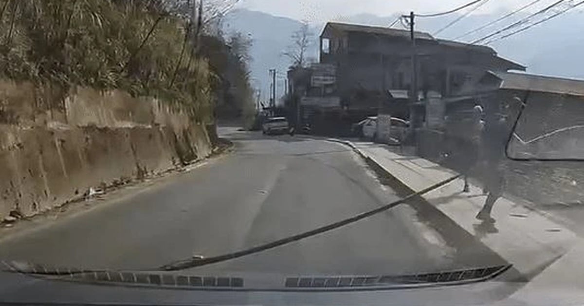 Seeing a fallen tree in the middle of the road in Sapa, a Western tourist's action made the driver grateful.