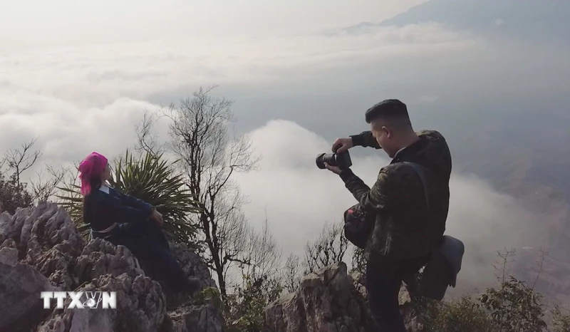 Son La: Tourists enjoy flowers and hunt clouds on Moc Chau plateau