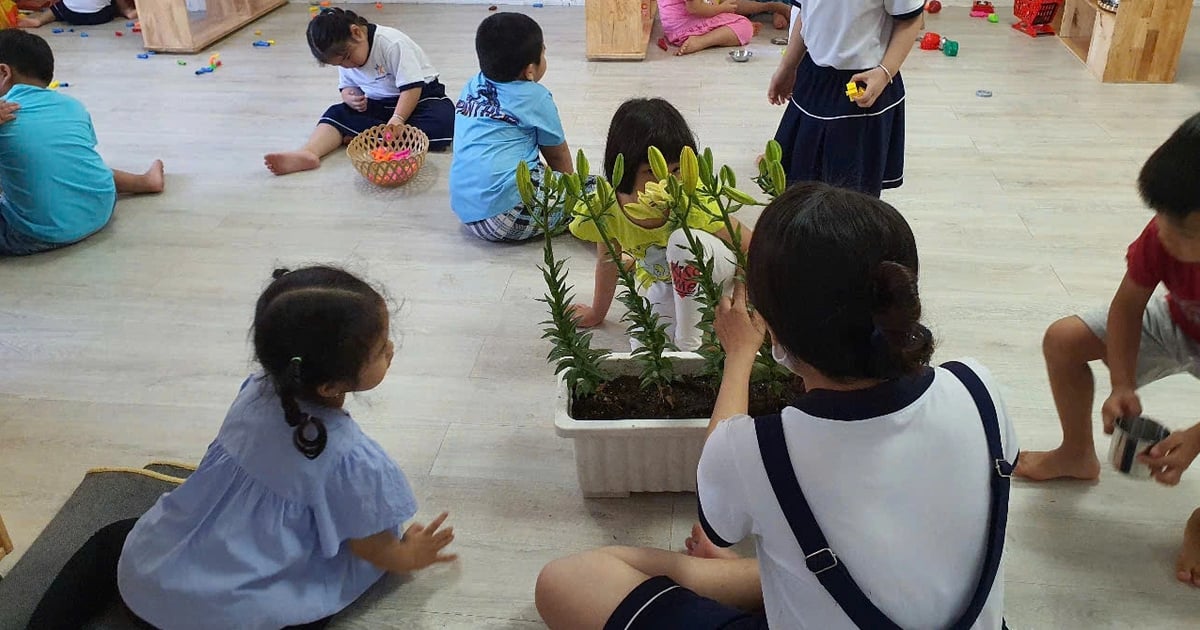 Examen des dossiers de l'enseignement préscolaire universel pour les enfants de 5 ans