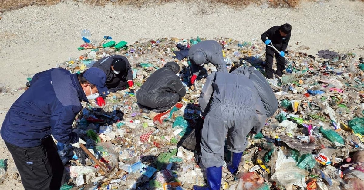 South Korea: Workers dig through 24 tons of trash to find money a mother spent on her son's surgery