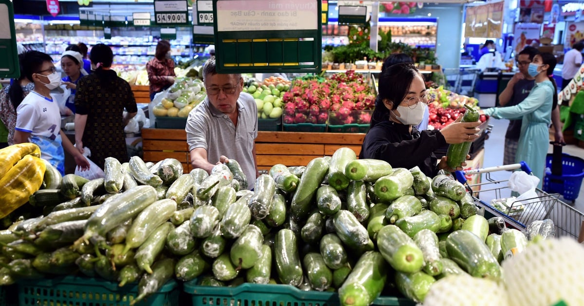 Que sont les pilules et bonbons végétaux ? Peuvent-ils remplacer les légumes verts ?