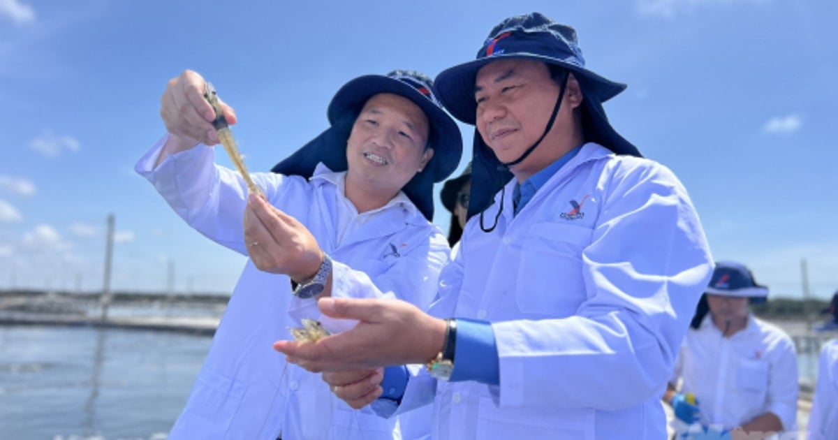 Deputy Minister Vo Van Hung visits high-tech shrimp industry complex