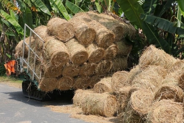 Creating a suitable policy environment to effectively promote the potential of biomass energy for sustainable production in Vietnam