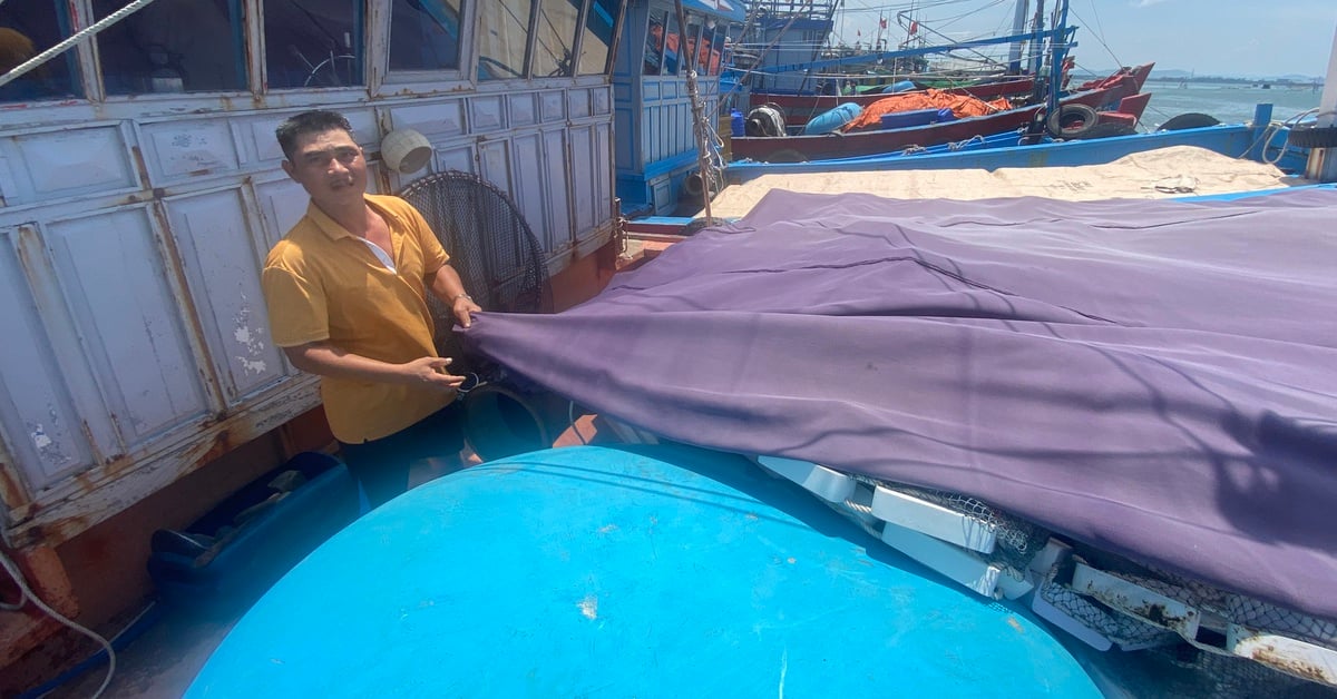 De 2022 à aujourd'hui, aucun navire de pêche violant les eaux étrangères n'a été capturé et traité à Quang Nam.