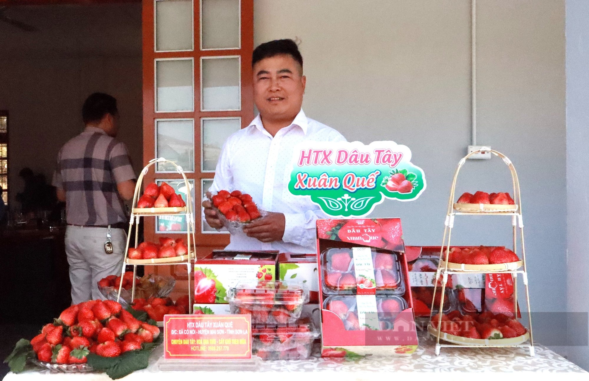 Chuyện lạ ở vựa trái cây Sơn La: Trái bé tý nhưng giá tương đương 1 bát phở, khách tìm mua không có - Ảnh 3.