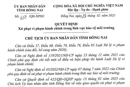 Đồng Nai: Xử phạt một doanh nghiệp 300 triệu đồng vì không có Giấy phép môi trường