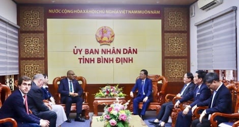 الرئيس التنفيذي الجديد لمجموعة PNE يعمل مع مقاطعة Binh Dinh في مشروع طاقة الرياح البحرية