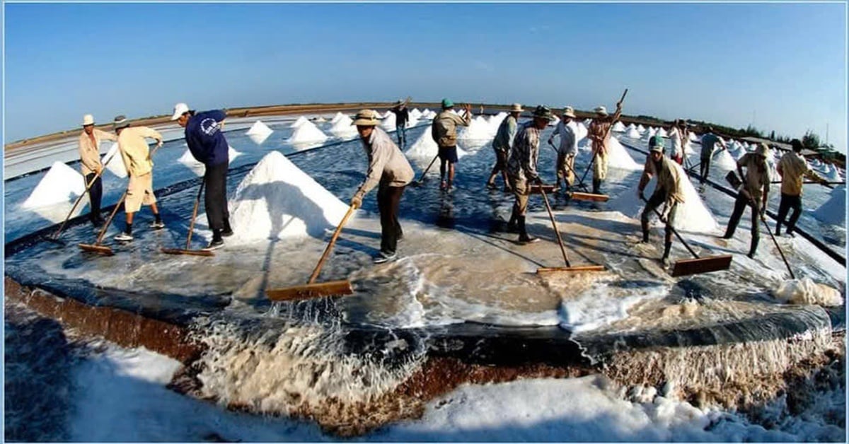 Deputy Prime Minister Tran Hong Ha: We must form large salt areas and industrial production.