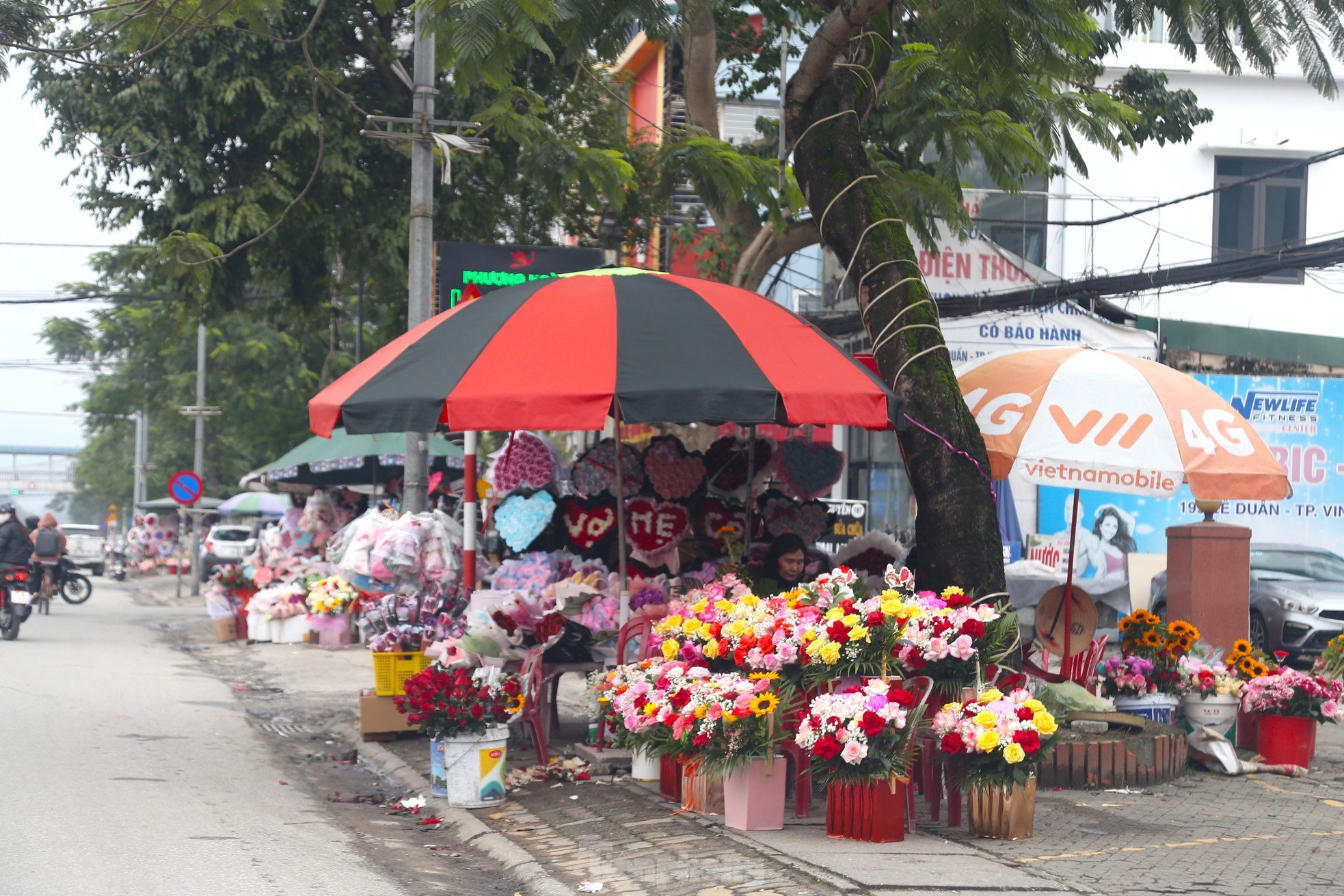 ดอกไม้ของขวัญรอต้อนรับแขกในวันงาน “ครึ่งโลก” ภาพที่ 1