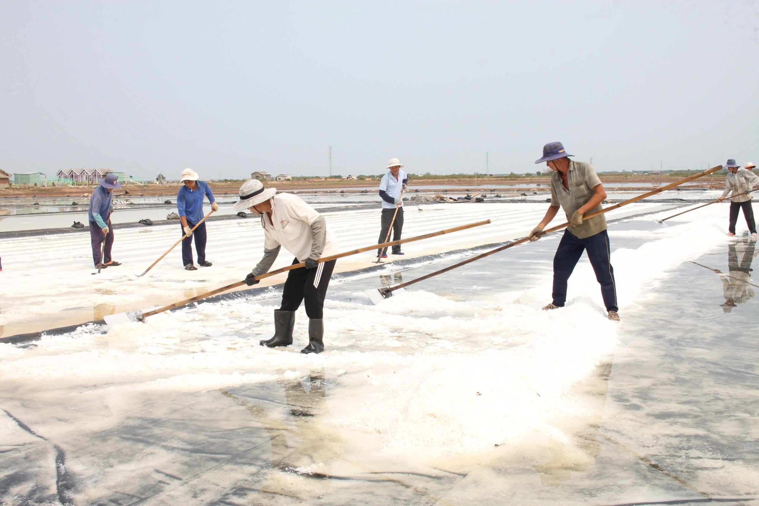 Hội thảo “Ứng dụng khoa học và công nghệ 
trong sản xuất muối thích ứng biến đổi khí hậu”- Ảnh 1.