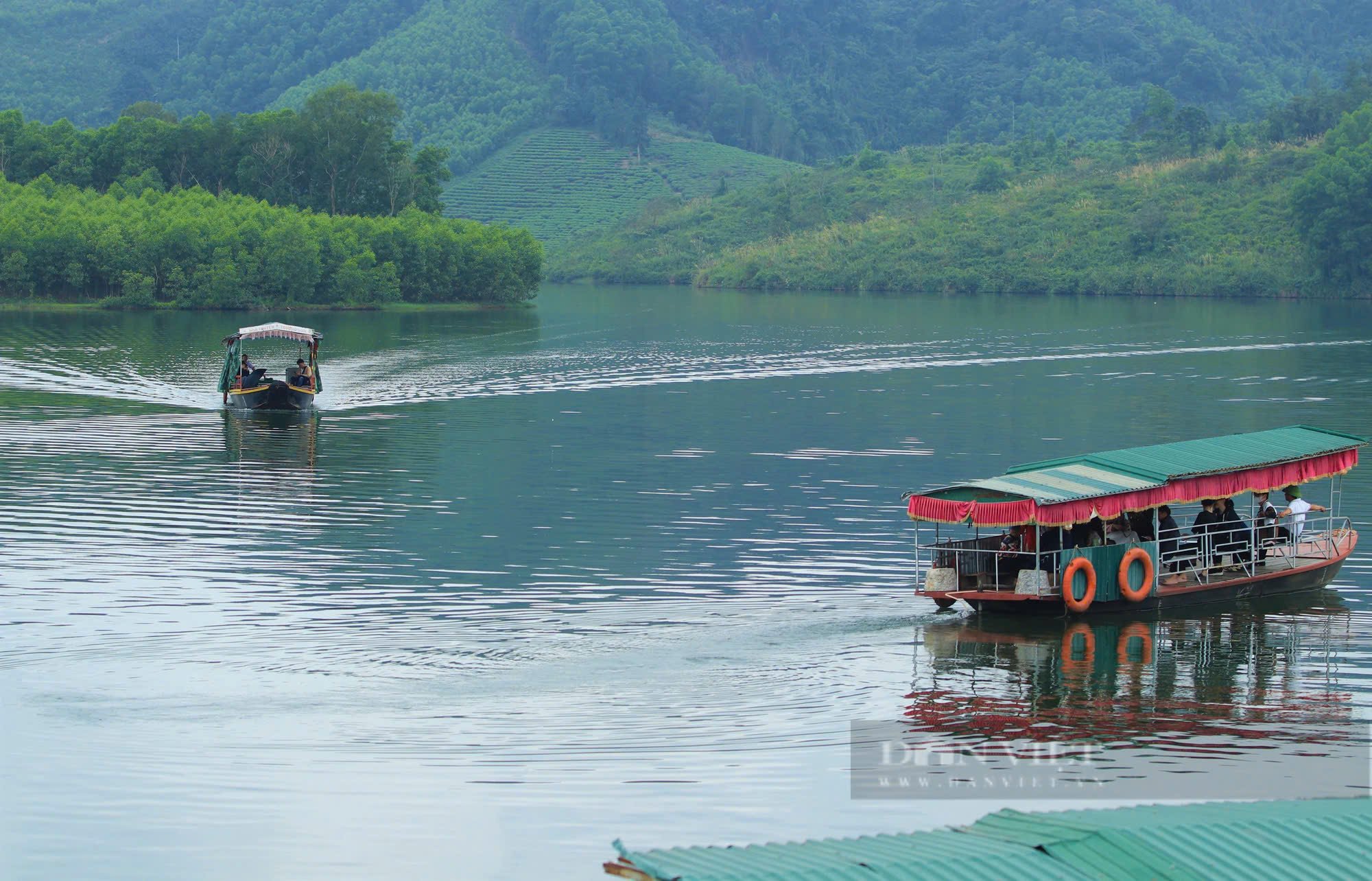 Nơi này ở Nghệ An có những hòn đảo nổi, trồng bạt ngàn thứ cây xanh mướt, khách tây tìm về quay phim, chụp ảnh - Ảnh 3.