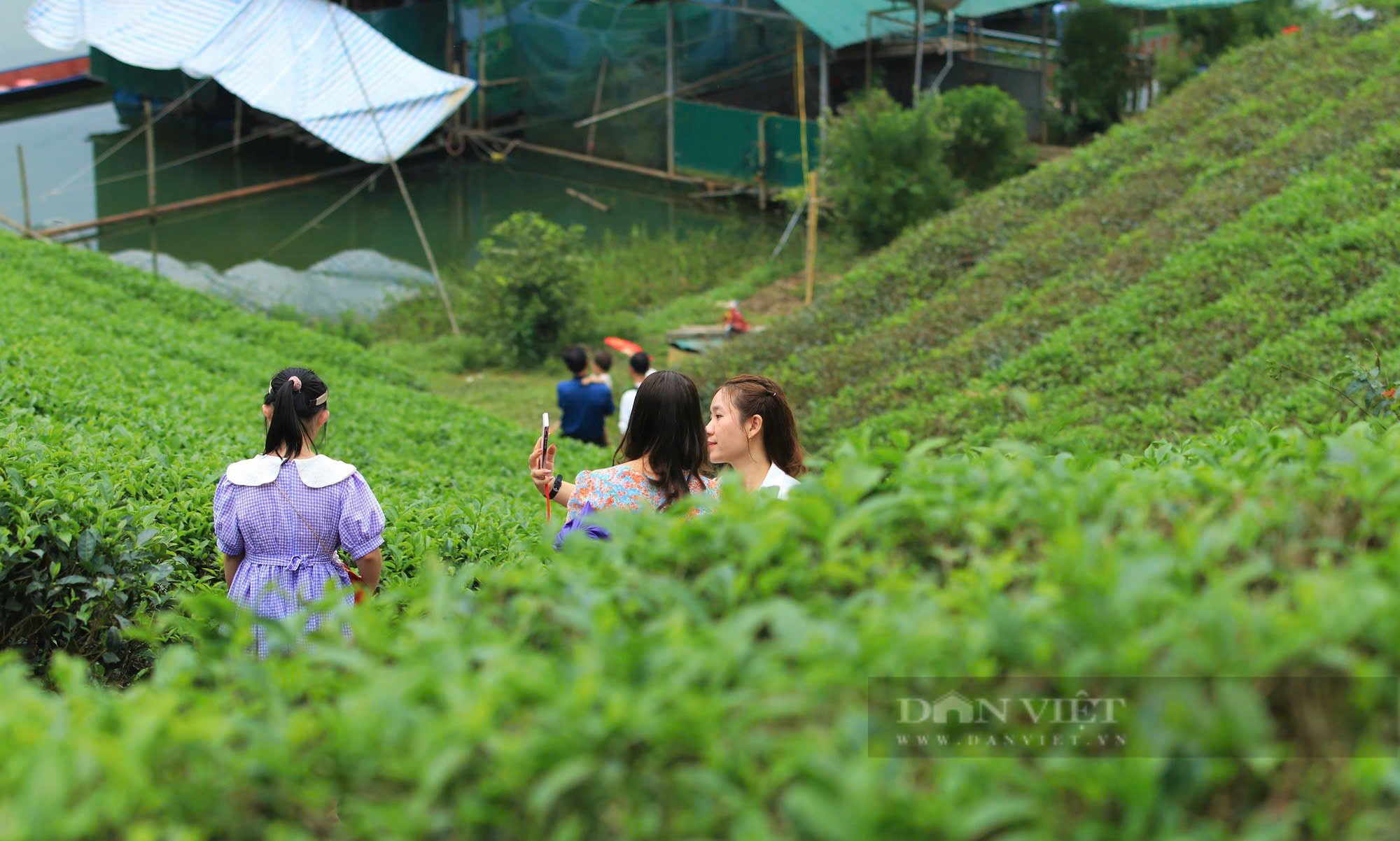 Nơi này ở Nghệ An có những hòn đảo nổi, trồng bạt ngàn thứ cây xanh mướt, khách tây tìm về quay phim, chụp ảnh - Ảnh 4.